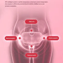 WarmEase™ -Electric Menstrual Heating Belt