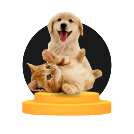 Pets