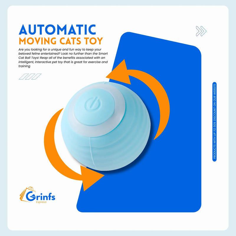 Cat Interactive Ball Training