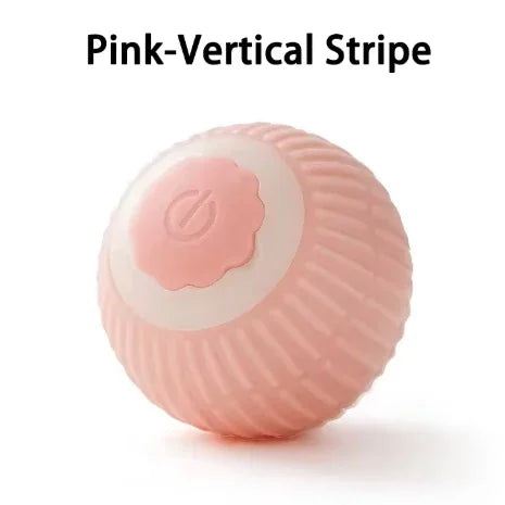 Cat Interactive Ball Training