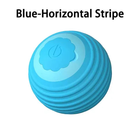 Cat Interactive Ball Training