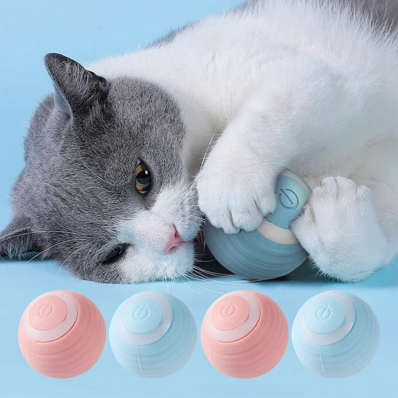 Cat Interactive Ball Training