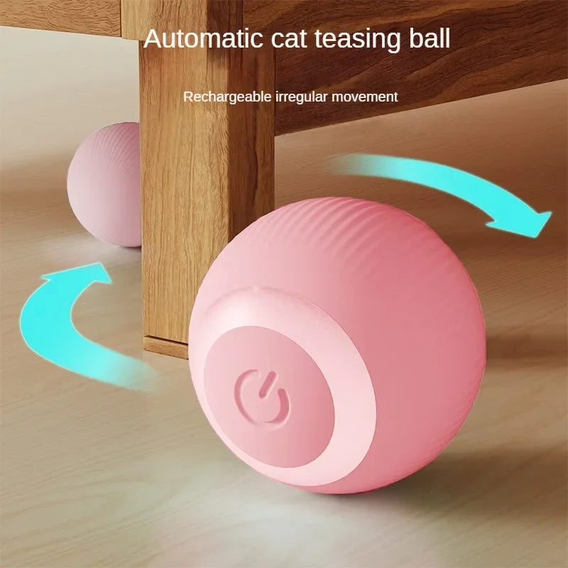 Cat Interactive Ball Training