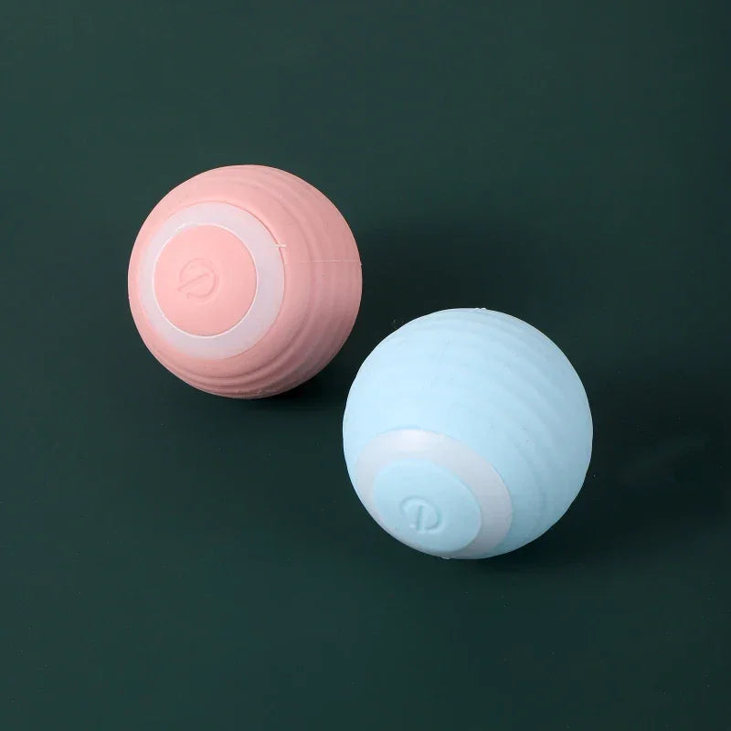 Cat Interactive Ball Training