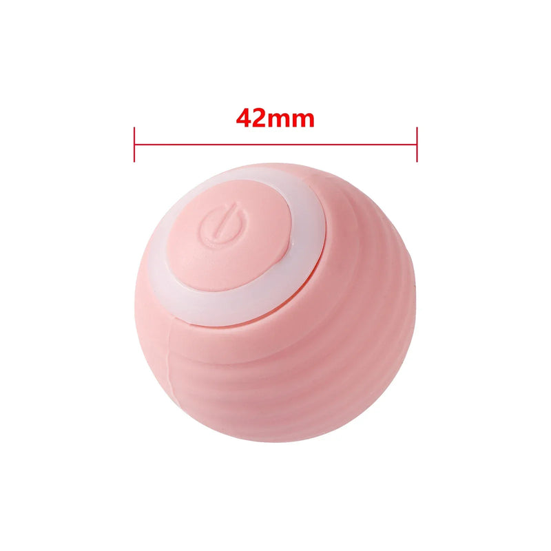 Cat Interactive Ball Training