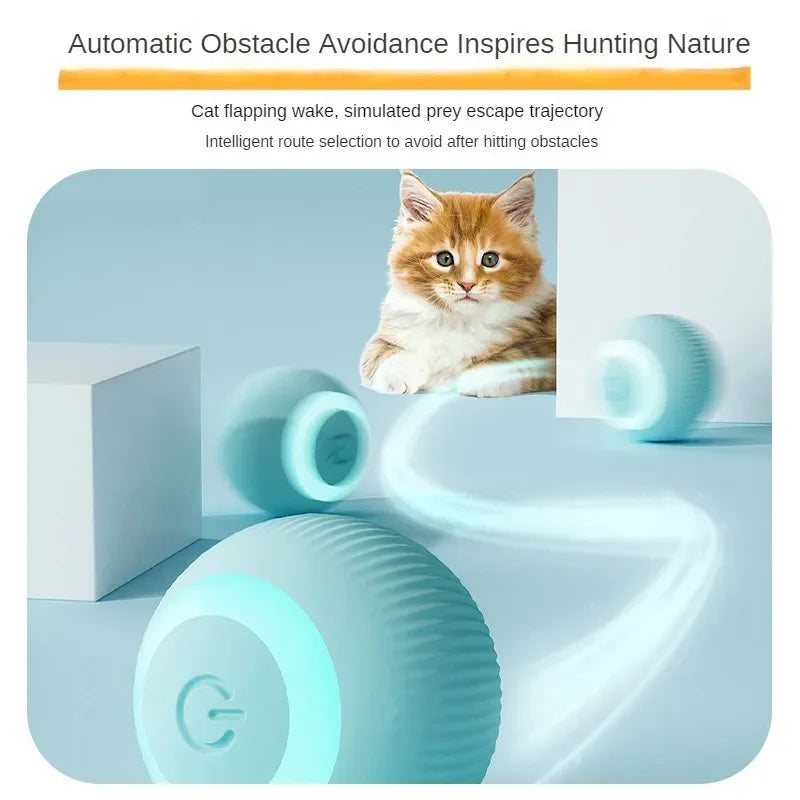 Cat Interactive Ball Training