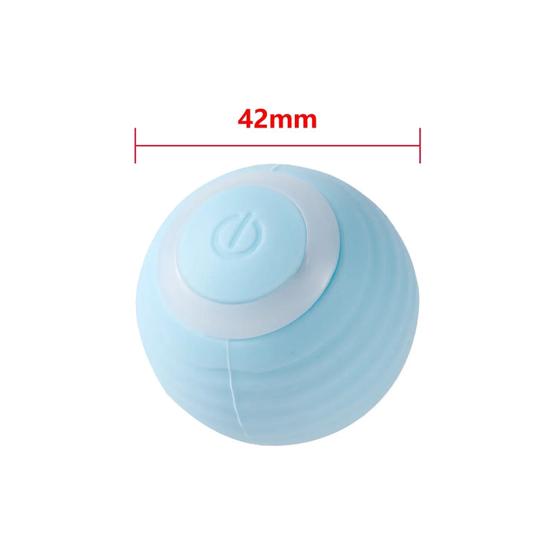Cat Interactive Ball Training