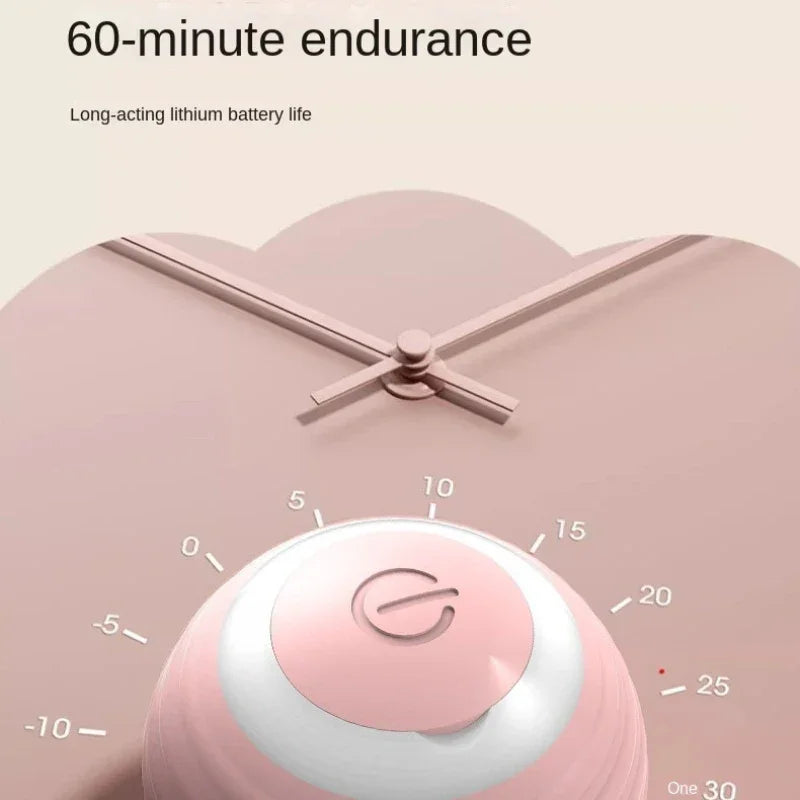 Cat Interactive Ball Training